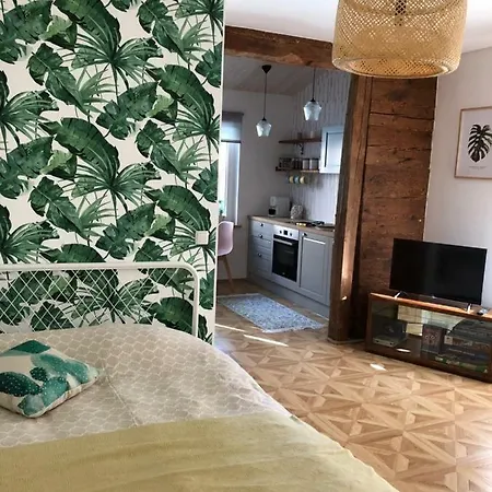 Cute Apartment, Next To Old Town, With Free Parking דירה *